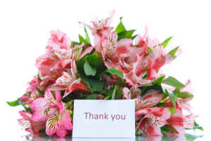 Alstroemeria flowers 