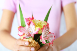 Alstroemeria flowers 