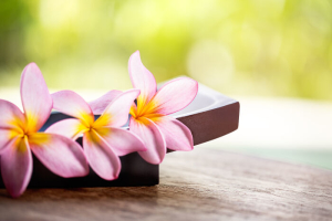 Frangipani Flowers