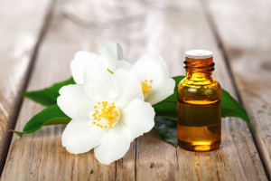 Jasmine essential oil and flowers on wooden table background. Beauty treatment