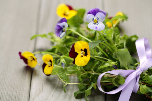 Pansy Flowers