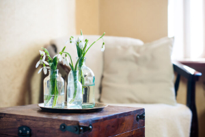 Snowdrop Flowers