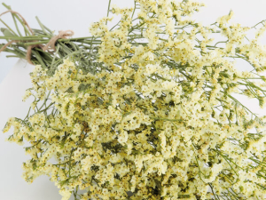 Statice Flowers