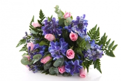 Larkspur