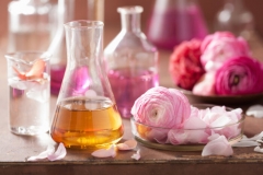 Ranunculus Flower