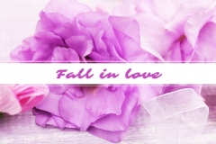 Stock Flower