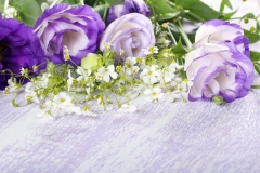 Stock Flower