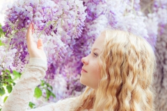 Wisteria Flowers